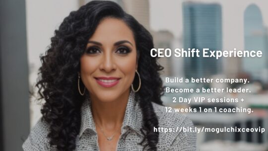 CEO Shift Experience Mentoring